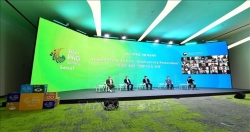 Вьетнам вносит активный вклад в продвижение устойчивого развития и борьбы с изменением климата
