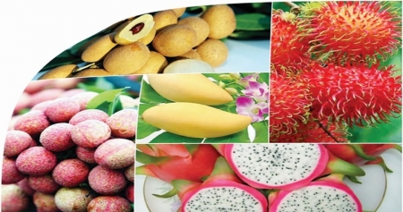 Хорошие перспективы для экспорта сельхозпродукции