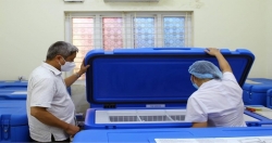 Глобальный альянс по вакцинам и иммунизации (GAVI) передал Вьетнаму  холодильник TCW 4000 AC для хранения вакцин