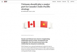 Канадский бизнес подчеркивает потенциал сотрудничества с вьетнамским бизнесом