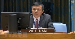 Вьетнам призывает Мали активизировать усилия по национальному примирению