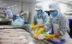 В мае объём экспорта морепродуктов из Вьетнама увеличился на 26%