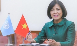 Вьетнам вновь подтверждает свою приверженность продвижению и защите прав человека