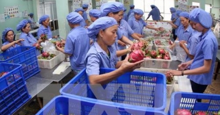 Вьетнам стремится укрепить место своей сельхозпродукции на рынке Республики Корея