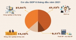 ВВП Вьетнама за первое полугодие 2021 года увеличился на 5,64% по сравнению с аналогичным периодом 2020 года