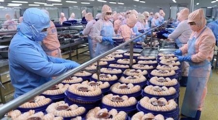 Экспорт водной продукции из Вьетнама за первую половину 2021 года превысил $4,1 млрд