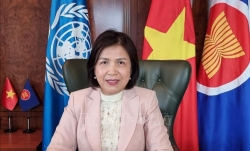 Вьетнам поддерживает деятельность ЮНКТАД по оказанию помощи развивающимся странам в устойчивом восстановлении