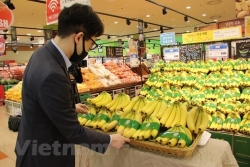 Республика Корея увеличила импорт бананов с вьетнамского рынка