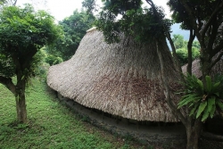 Вьетнамский бамбуковый дом выигрывает награду американской архитектуры