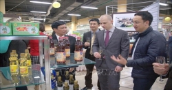 Провинция Тханьхоа привлекает российские предприятия