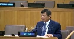 Вьетнам: АСЕАН поддерживает предотвращение распространения оружия массового поражения