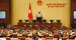 Нацсобрание Вьетнама обсуждает вопросы борьбы с преступностью и коррупцией