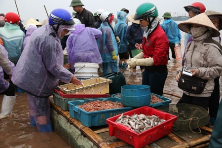 Утро на рынке морепродуктов Зяохай в провинции Намдинь