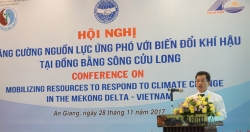 СОДВ призывает ресурсы для борьбы с изменением климата в дельте Меконга