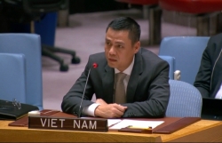 Вьетнам поддерживает усилия по противодействию изменению климата во имя мира и международной безопасности