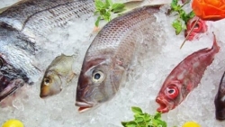 Россия получила право поставлять рыбную продукцию на внутренний рынок Вьетнама