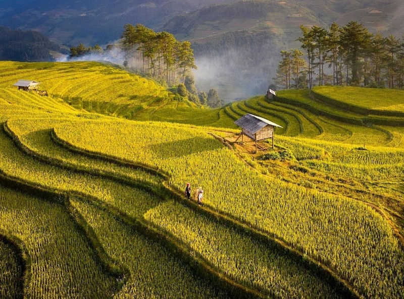 Вьетнамские красоты с высоты