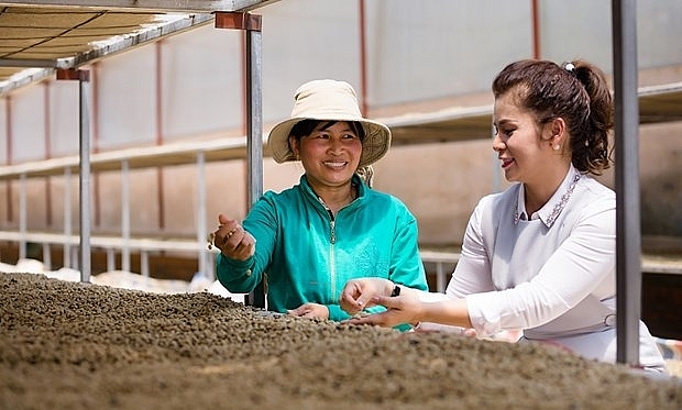 King Coffee анонсировала проект по связыванию поставщиков сельскохозяйственной продукции | ОБЩЕСТВО | Vietnam+ (VietnamPlus)