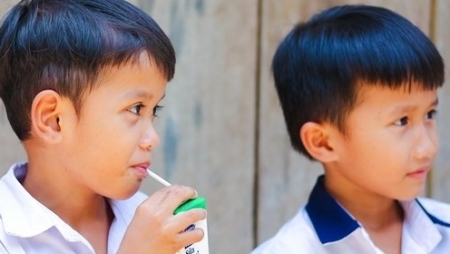 Вьетнаму необходимо уделять приоритетное внимание ресурсам для полноценного развития детей