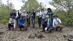 Вьетнамская и Японская молодежь совместно посадили более 1 га леса
