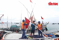 Снятие «желтой карты» в отношении вьетнамских морепродуктов – это не единственная цель Вьетнама