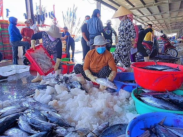 Самый большой рыбный порт Южно-Центрального региона снова возобновил деятельность