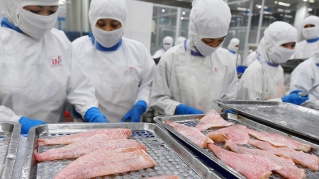 Иностранные компании ожидают скорого открытия Вьетнама