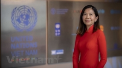Координатор ООН: Стремление к более устойчивому Вьетнаму