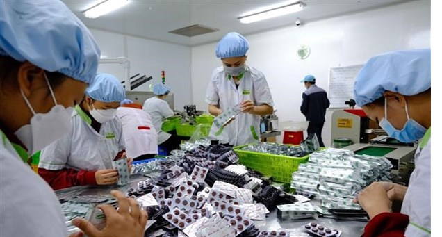 Производимые внутри страны лекарства стремятся удовлетворить около 80% спроса и 70% рыночной стоимости. (Фото: Тхань Лием)