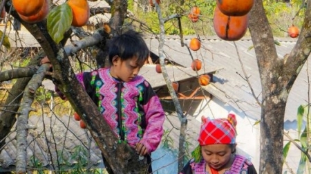 Традиционный Тэт народа хмонг на крайнем западе Северо-Запада