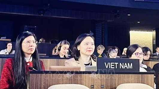 Вьетнам продолжает сотрудничество с ЮНЕСКО в защите культурного разнообразия в цифровую эпоху