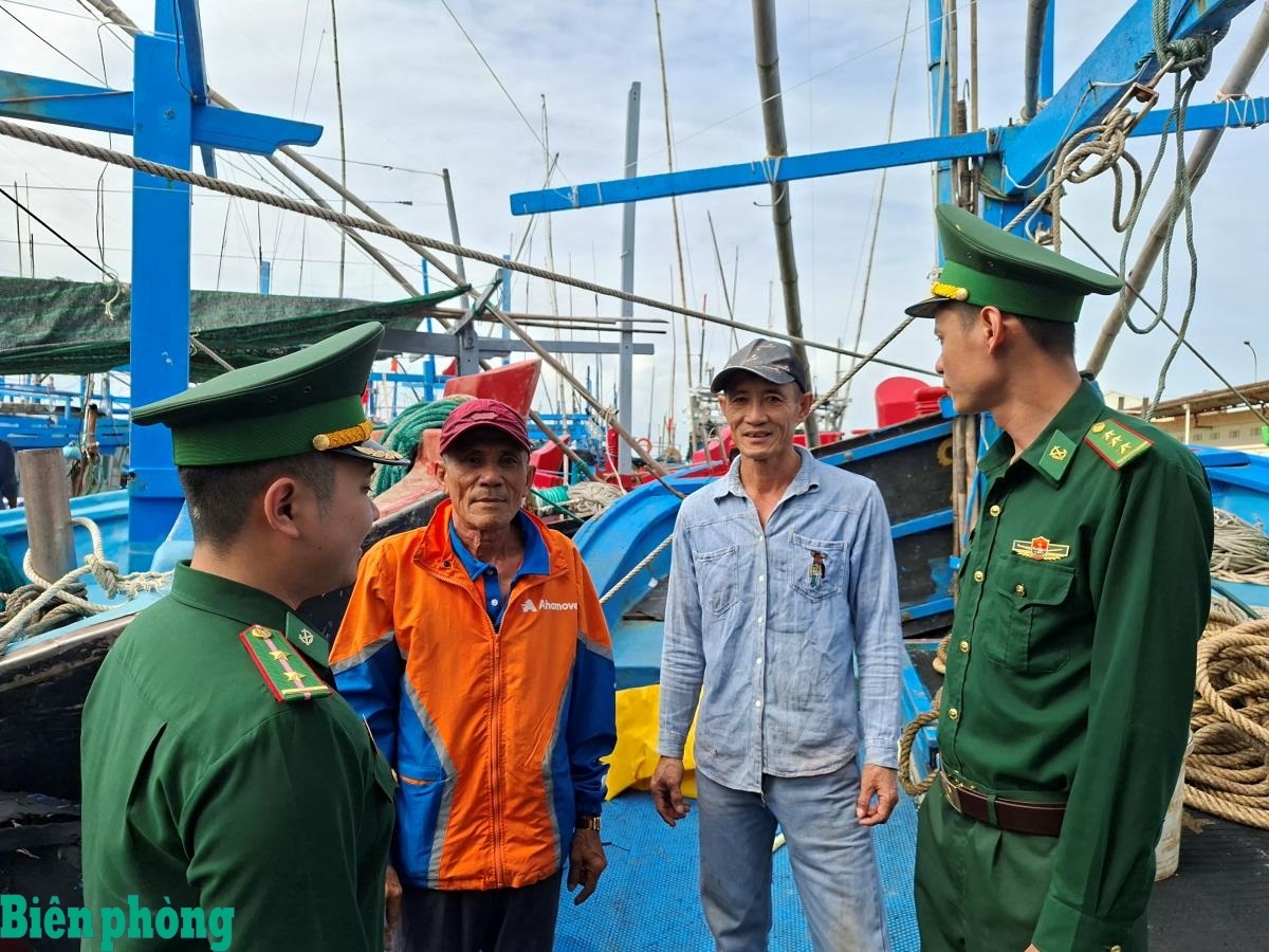 Сотрудники пограничного контрольного пункта Да Ранг проверяют рыболовное судно перед выходом из порта. Сотрудники пограничного контрольного пункта Да Ранг проверяют рыболовное судно перед выходом из порта.
