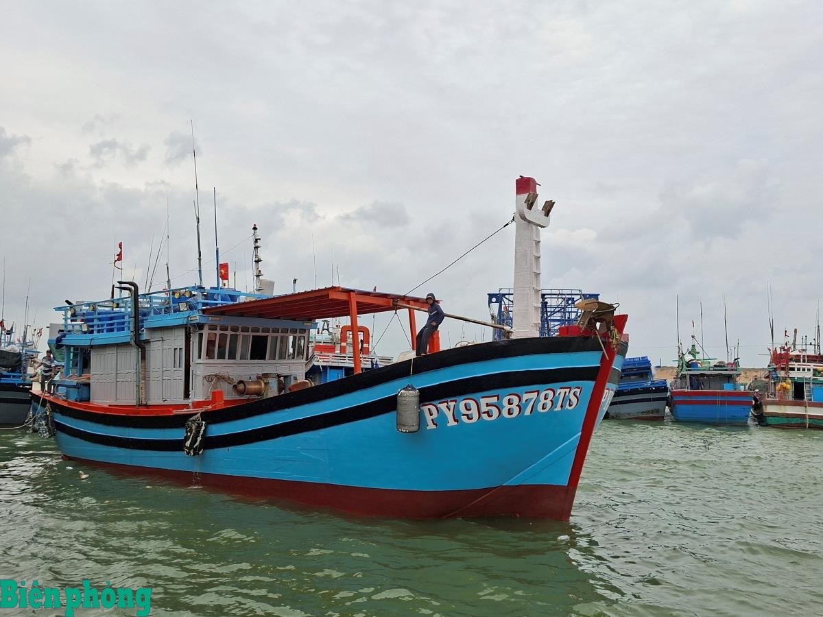 Рыболовные суда покидают рыболовный порт Да Нонг и отправляются в море. Рыболовные суда покидают рыболовный порт Да Нонг и отправляются в море.