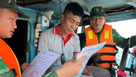 Хошимин: повышение осведомлённости рыбаков о соблюдении правил ННН-промысла