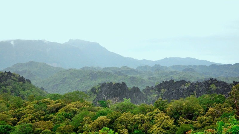 Высказывание Хо Ши Мина «лес — золото, море — серебро, земля — плодородна» отражает философию устойчивого развития. (Фото: nhandan.vn)