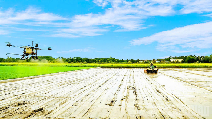 Фермеры города Кантхо применяют высокие технологии в производстве. (Фото: nhandan.vn)