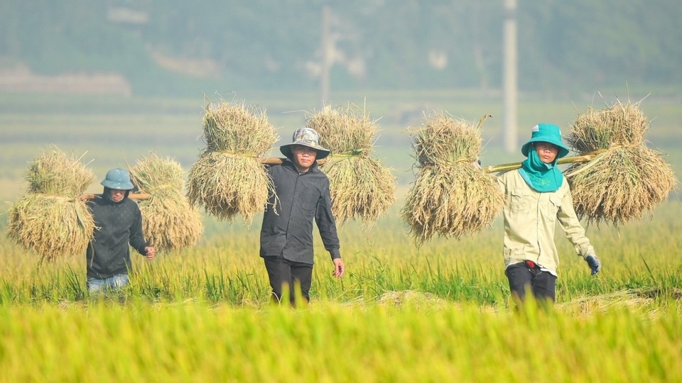 Основа устойчивого развития и глобальной ответственности
