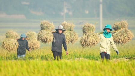Основа устойчивого развития и глобальной ответственности