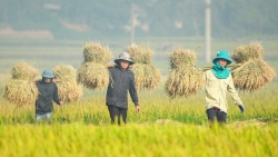 Основа устойчивого развития и глобальной ответственности