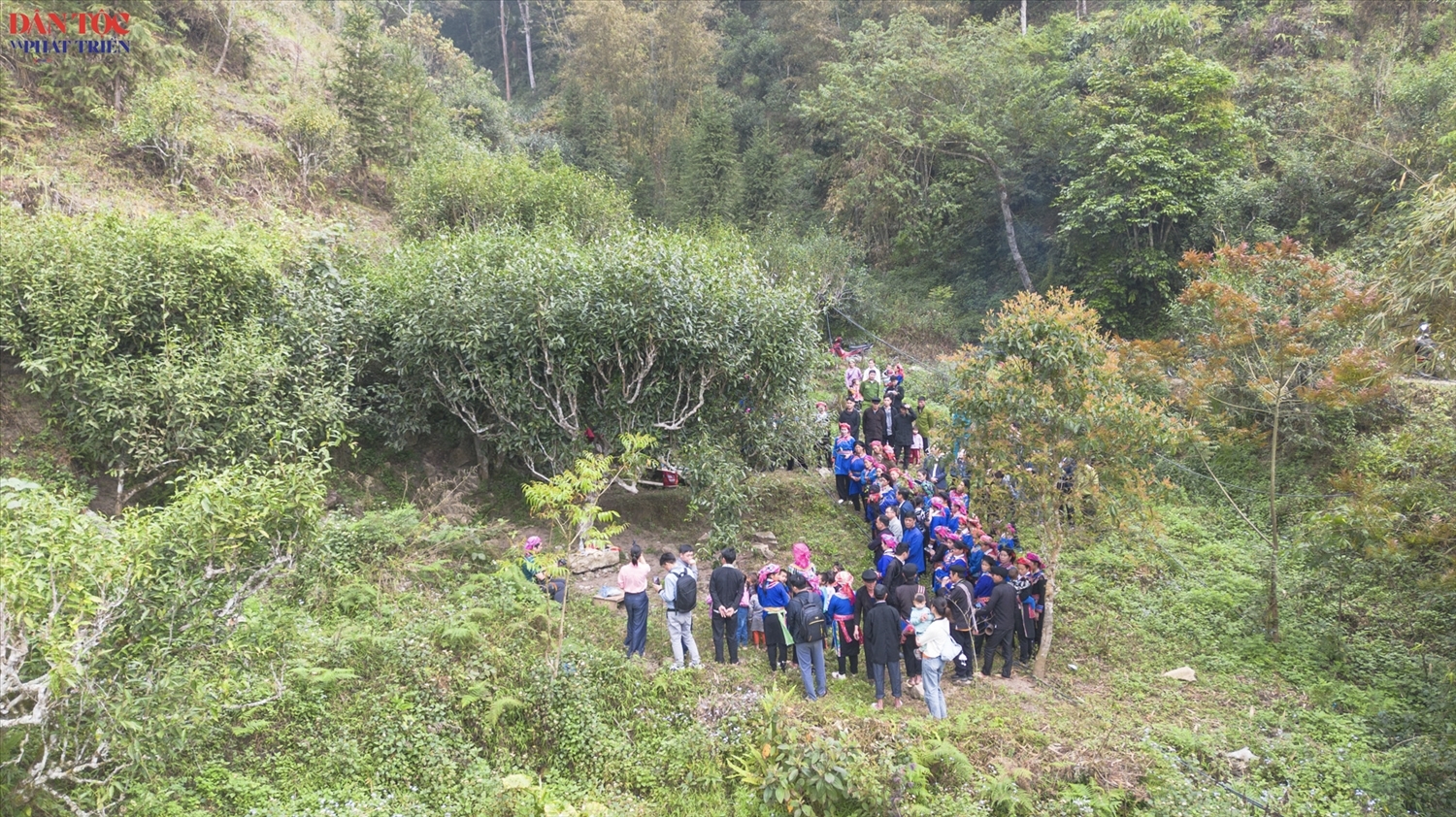 Русский: Праздник благодарения и пробуждения души чая – важнейшая церемония года у народа Кэлао.