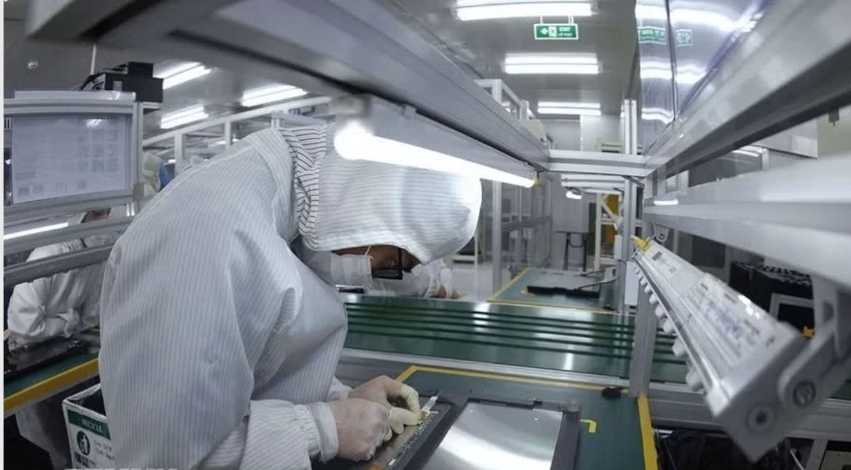 Фото: Ву Шинь — Вьетнамское информационное агентство (TTXVN).