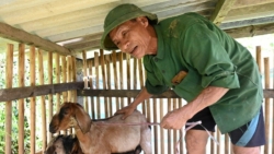 Хатинь поддерживает производство, дает фермерам возможность выбраться из нищеты