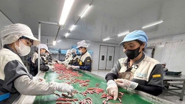 Частный сектор должен стать важнейшим двигателем вьетнамской экономики