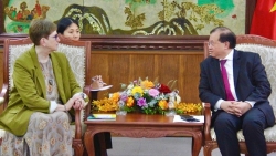 Продвижение сотрудничества в области художественного образования между Вьетнамом и Россией