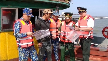 Вьетнам готов сотрудничать и делиться опытом по борьбе с ННН-промыслом