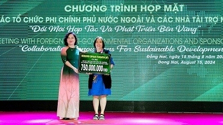 Новые подходы в привлечении иностранной неправительственной помощи