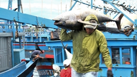 Международное сотрудничество ради стабильного развития рыбного хозяйства Вьетнама