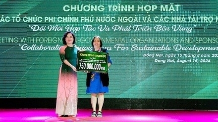 Новые подходы в привлечении иностранной неправительственной помощи