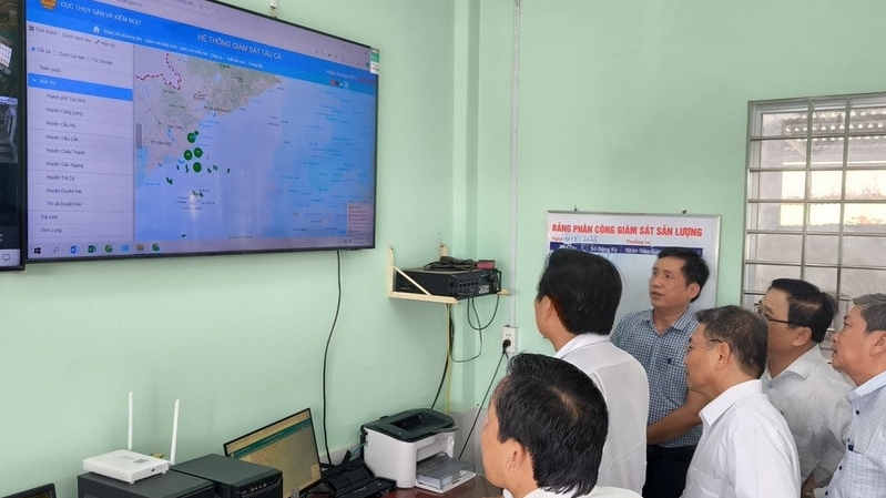 Провинция Виньлонг завершила лицензирование рыболовных судов и ужесточила контроль за ННН-промыслом.