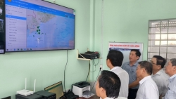 Провинция Виньлонг завершила лицензирование рыболовных судов и ужесточила контроль за ННН-промыслом.